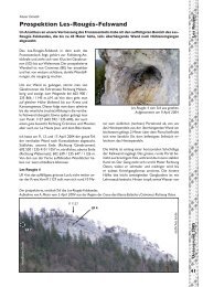 Les RougÃ©s PDF - SGH-Lenzburg