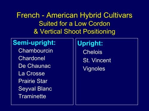 Training Systems for Grapes: High vs. Low Cordon - Viticulture Iowa ...