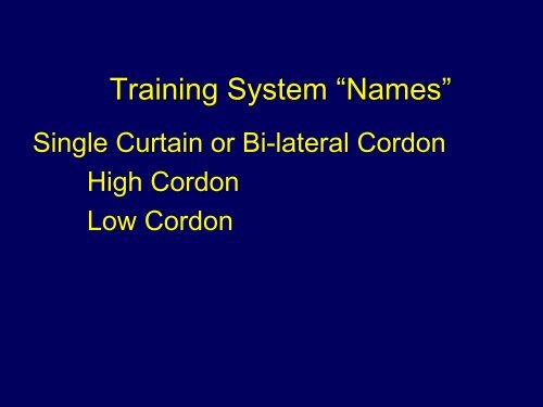 Training Systems for Grapes: High vs. Low Cordon - Viticulture Iowa ...