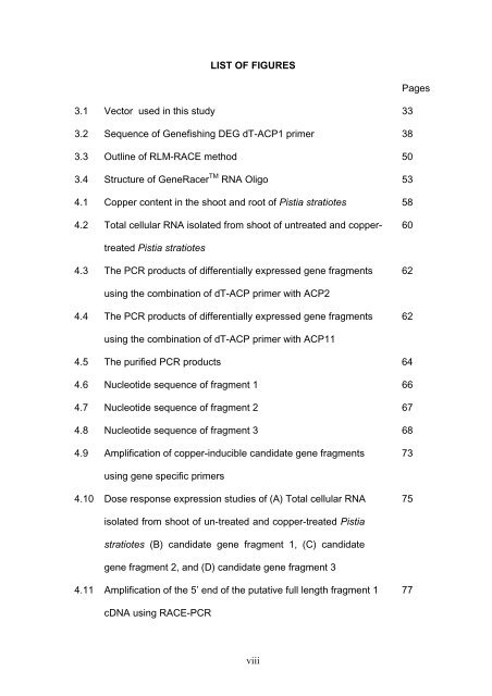 IDENTIFICATION OF COPPER-INDUCIBLE GENES IN Pistia stratiotes