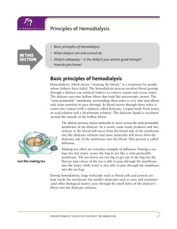 Basic principles of hemodialysis Principles of ... - BC Renal Agency