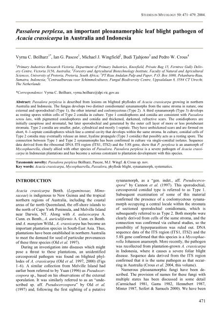 Passalora perplexa, an important pleoanamorphic leaf blight ... - CBS