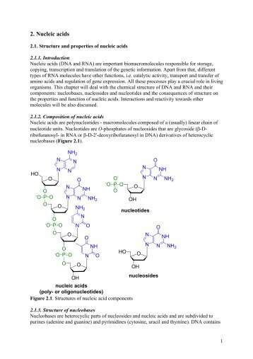 2. Nucleic acids - Kois.SK