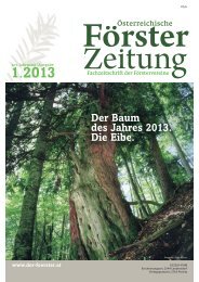 Ausgabe 1/2013 - Der Verband Ãsterreichischer FÃ¶rster