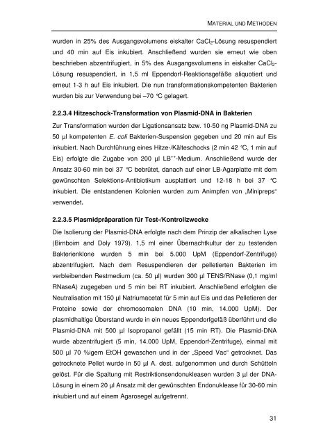 Einfluss von Mutationen auf die NS2/3-Prozessierung und die ...