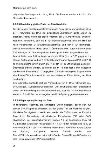 Einfluss von Mutationen auf die NS2/3-Prozessierung und die ...