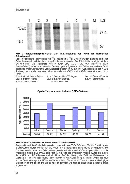 Einfluss von Mutationen auf die NS2/3-Prozessierung und die ...