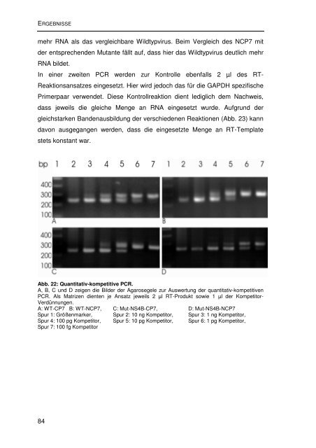 Einfluss von Mutationen auf die NS2/3-Prozessierung und die ...