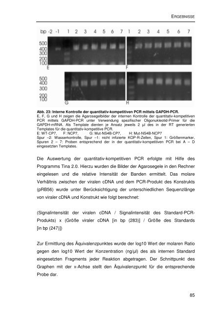 Einfluss von Mutationen auf die NS2/3-Prozessierung und die ...