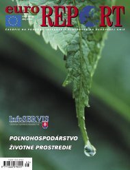 Dejiny čínskej dotvorby