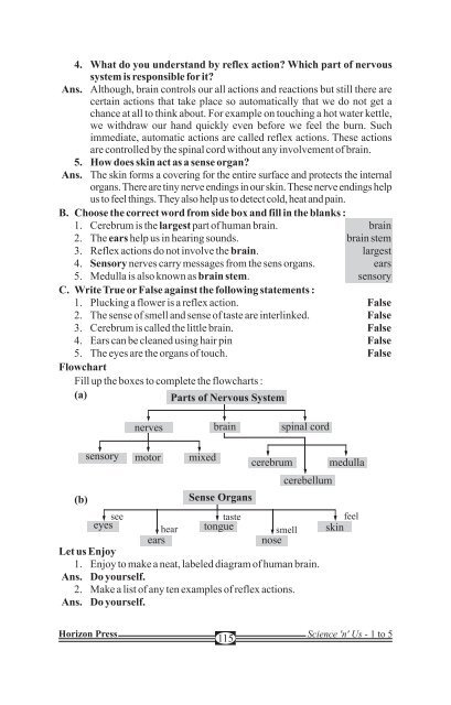 Science 'N' us-5 final - School Books Publishers India