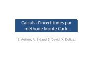 Calculs d'incertitudes par mÃ©thode de Monte Carlo et applications