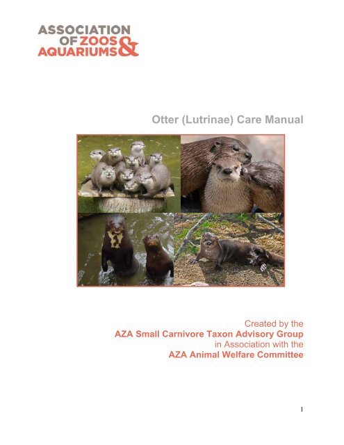 Otter (Lutrinae) Care Manual - Association of Zoos and Aquariums