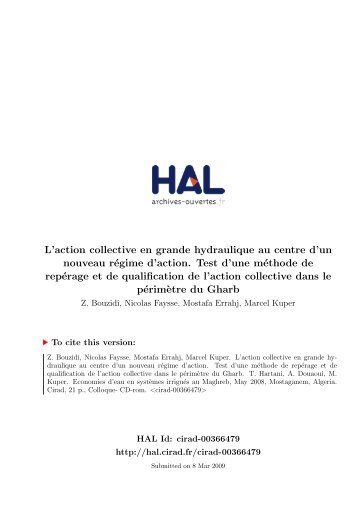 L'action collective en grande hydraulique au centre d ... - HAL - CIRAD