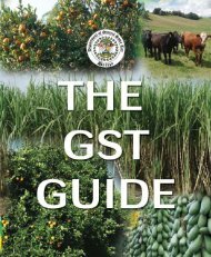 The GST Guide - The Belize Department of General Sales Tax