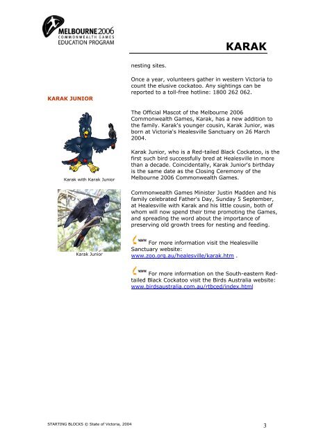 Karak Species: South-eastern Red-Tailed Black Cockatoo Where ...