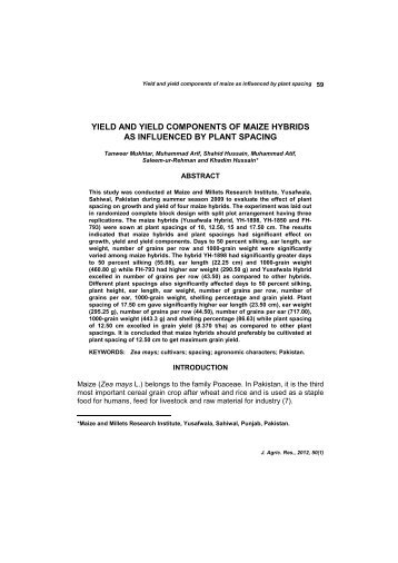 yield and yield components of maize hybrids as influenced by plant ...