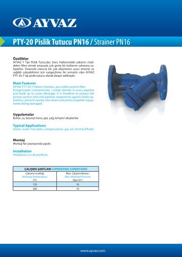 PTY-20 Pislik Tutucu PN16 / Strainer PN16 - Ayvaz