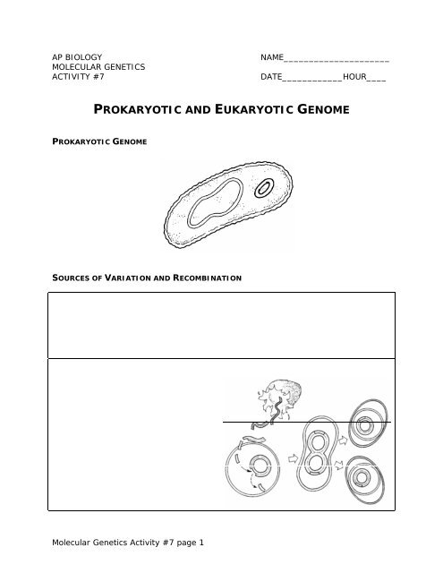 PROKARYOTIC AND EUKARYOTIC GENOME