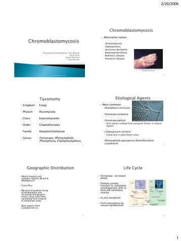 Kingdom: Fungi Phylum: Ascomycota Class: Euascomycetes Order ...