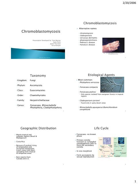 Kingdom: Fungi Phylum: Ascomycota Class: Euascomycetes Order ...