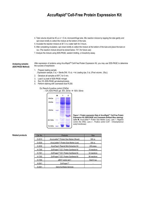 AccuRapidâ¢ Cell-Free Protein Expression Kit