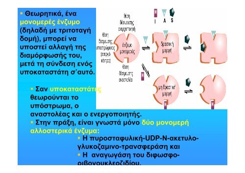 ÎÎ¹Î½Î·ÏÎ¹ÎºÎ® ÎÎ½Î¶ÏÎ¼Î¹ÎºÏÎ½ ÎÎ½ÏÎ¹Î´ÏÎ¬ÏÎµÏÎ½