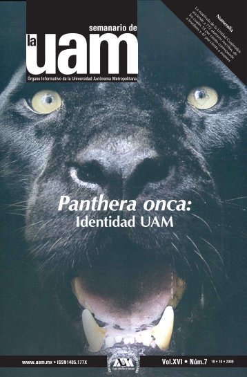 Panthera onca: - UAM. ComunicaciÃ³n Social
