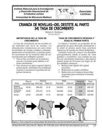 Tasa de Crecimiento - Babcock Institute