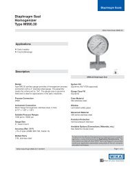 Diaphragm Seal Homogenizer Type M990.30 - WIKA