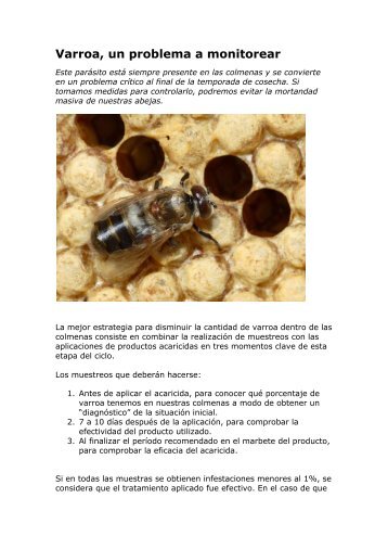 Varroa, un problema a monitorear - desarrollo argentino