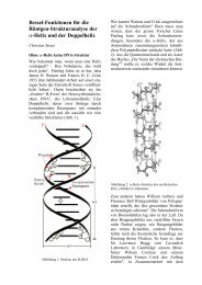 Bessel-Funktionen zur Analyse der DNA-Struktur