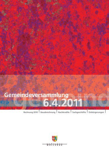 Rechnung 2010 - Gemeinde Wollerau