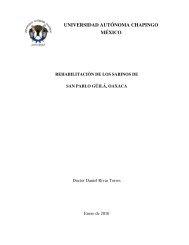 Informe final RehabilitaciÃ³n sabinos de San Pablo ... - Daniel Rivas