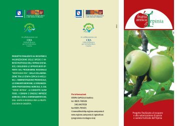 Scarica il depliant illustrativo del Progetto - Regione Campania