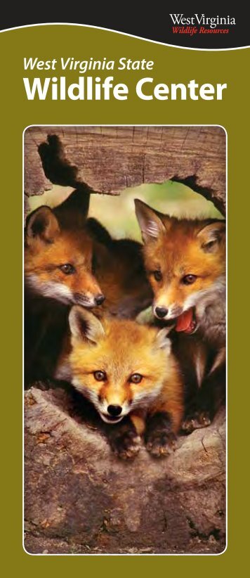 State Wildlife Center Brochure - West Virginia Department of ...