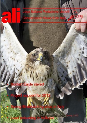 Booted Eagle saved Project support for 2012 Spring ... - LIPU-UK