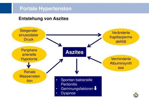 Portale Hypertension - Kinder-Gastroenterologie-Essen