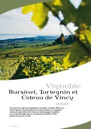 Bursinel, Tartenien, Coteau de Vincy - STLDESIGN