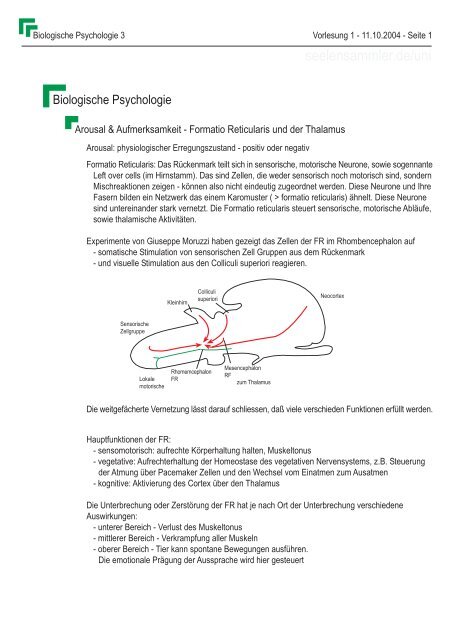 1. Vorlesung - Seelensammler