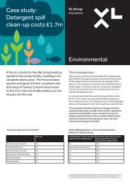 Environmental Case study: Detergent spill clean-up ... - XL Group