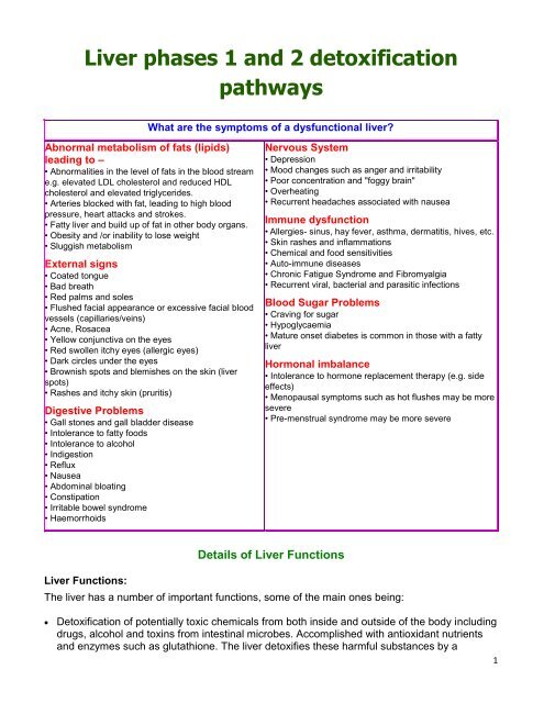 Liver phases 1 and 2 detoxification pathways