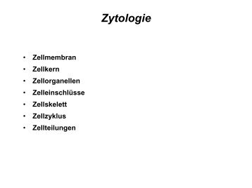 Zytologie (pdf)