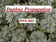 Daphne Propagation