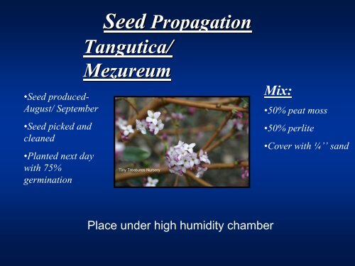 Daphne Propagation