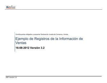 Ejemplo de Registros de la Información de Ventas - Servicio de ...