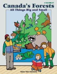 Canada's Forests - All Things Big and Small - Canadian Forestry ...