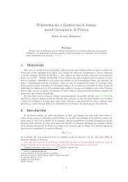 RepresentaciÃ³n y clasificaciÃ³n de formas usando la ... - ICMAT