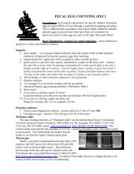 A Basic Quantitative Fecal Examination Method for Small Ruminants