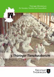 Tierschutzbericht 2002 - Freistaat ThÃƒÂ¼ringen